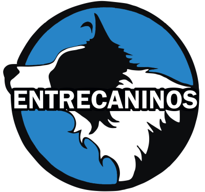Adiestramiento Cursos